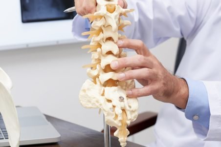 Plastic model of spine on table of osteopath